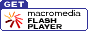 flash player icon
